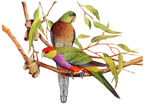 őszi állatok_31.png